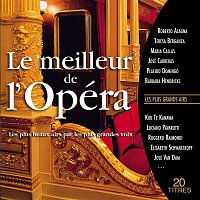 Various  Artists – Le meilleur de l'opéra