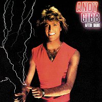 Andy Gibb – After Dark