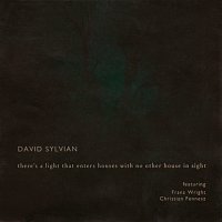 David Sylvian, Franz Wright, Christian Fennesz – There's A Light That Enters Houses With No Other House In Sight