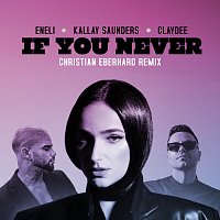 If You Never [Christian Eberhard Remix]