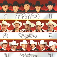 Various  Artists – Tres Grandes Nortenos