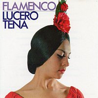 Přední strana obalu CD Flamenco