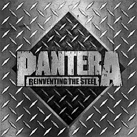 Pantera – Reinventing the Steel (20th Anniversary Edition) FLAC