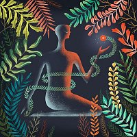 Přední strana obalu CD Ocotillo