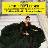 Přední strana obalu CD Schubert: Lieder