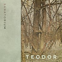 Teodor – Sanatorium