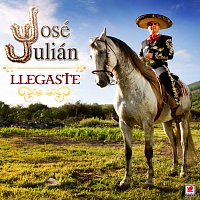 José Julián – Llegaste