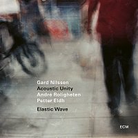 Gard Nilssen Acoustic Unity – Elastic Wave