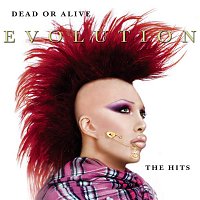 Dead Or Alive – Evolution: The Hits