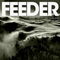 Feeder – Snowblind