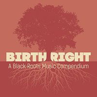 Přední strana obalu CD Birthright: A Black Roots Music Compendium