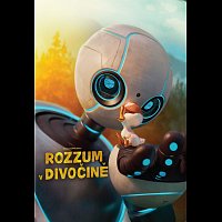 Různí interpreti – Rozzum v divočině