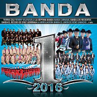 Přední strana obalu CD Banda #1's 2016