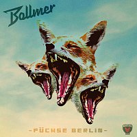 Bollmer – Fuchse Berlin
