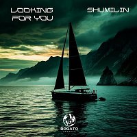 Přední strana obalu CD Looking for you