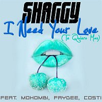 Shaggy, Mohombi, Faydee, Costi – I Need Your Love (Te Quiero Mas)