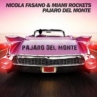 Nicola Fasano, Miami Rockets – Pajaro Del Monte