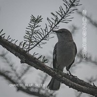 Charlie Blue Skies – Songbird