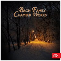 Komorní skladby rodiny Bachů