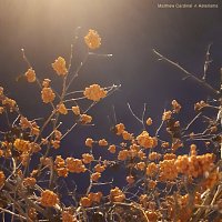 Matthew Cardinal – Asterisms