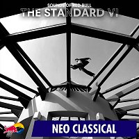 Přední strana obalu CD The Standard VI