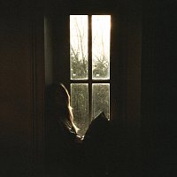 Georgia Harmer – Little Light