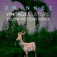 Sofi Tukker & Vintage Culture – Drinkee (Vintage Culture & Slow Motion! Remix)