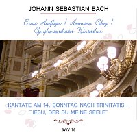 Ernst Haefliger, Hermann Schey, Touty Hunziker-Druey, Reinhart-Chor Zurich – Ernst Haefliger / Hermann Schey / Symphonieorchester Winterthur play: Johann Sebastian Bach: Kantate am 14. Sonntag nach Trinitatis - "Jesu, der du Meine Seele", BWV 78