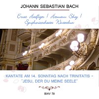 Ernst Haefliger / Hermann Schey / Symphonieorchester Winterthur play: Johann Sebastian Bach: Kantate am 14. Sonntag nach Trinitatis - "Jesu, der du Meine Seele", BWV 78