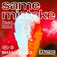 Shane Codd, LA Vision, BIM – Same Mistake