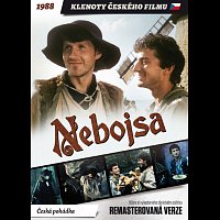 Různí interpreti – Nebojsa DVD