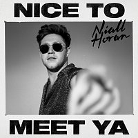 Niall Horan – Nice To Meet Ya