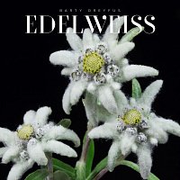 Barty Dreyfus – Edelweiss (Arr. for Guitar)