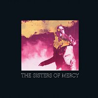 The Sisters Of Mercy – When You Don't See Me