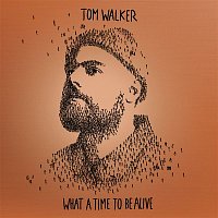 Tom Walker – Heartbeats