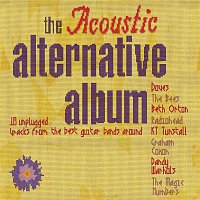 Various  Artists – The Acoustic Alternative Album