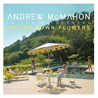 Andrew McMahon In The Wilderness – Blue Vacation