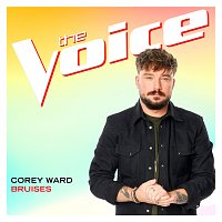 Corey Ward – Bruises [The Voice Performance]