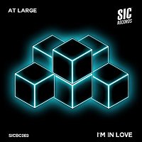 At Large – I'm In Love