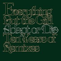 Přední strana obalu CD Adapt Or Die - 10 Years Of Remixes