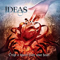 Ideas – Hide your heart
