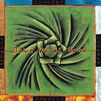Dave Weckl Band – Synergy