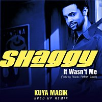 Shaggy, Ricardo Ducent – It Wasn't Me [Sped Up]