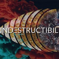 Phaser – Indestructibil