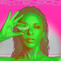 Přední strana obalu CD Extension (The Extended Mixes)