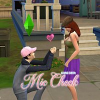 Přední strana obalu CD Mic Check (Boomerang)