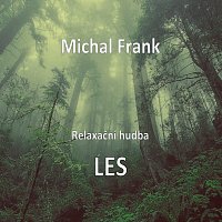 Michal Frank – Relaxační hudba LES FLAC