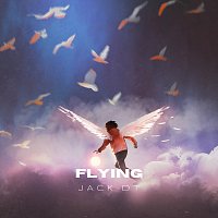 Jack DT – Flying