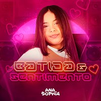 Přední strana obalu CD Batida E Sentimento