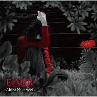 Akina Nakamori – Fixer -While The Women Are Sleeping-